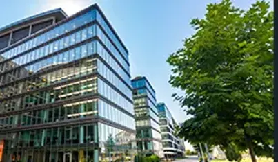 Commercial Pest Control