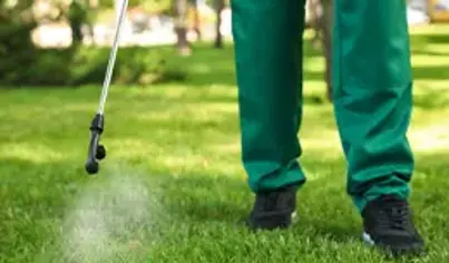 Exterminator Services