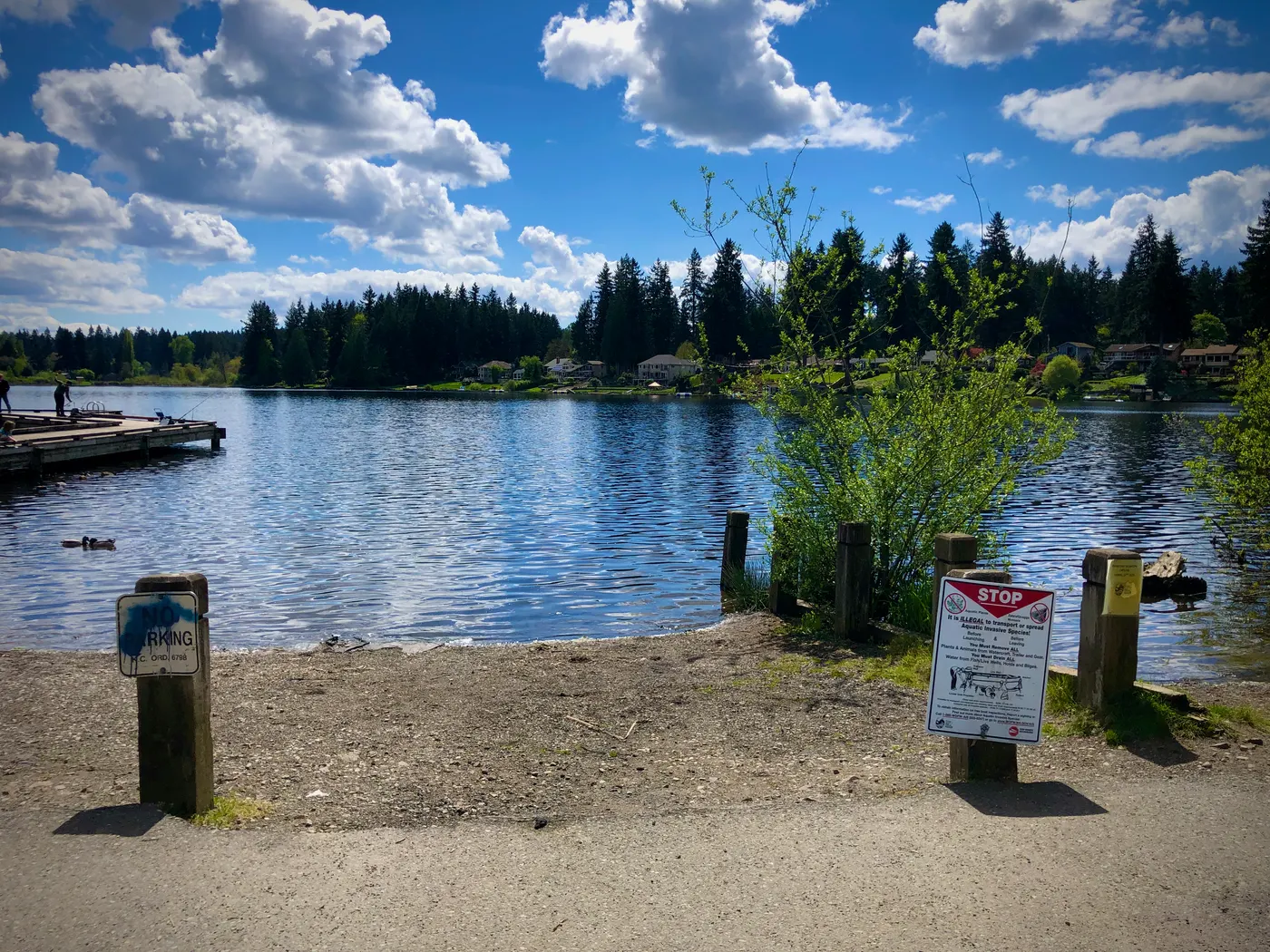 Cottage Lake near Woodinville, WA, with homes and tall evergreens along the far shore