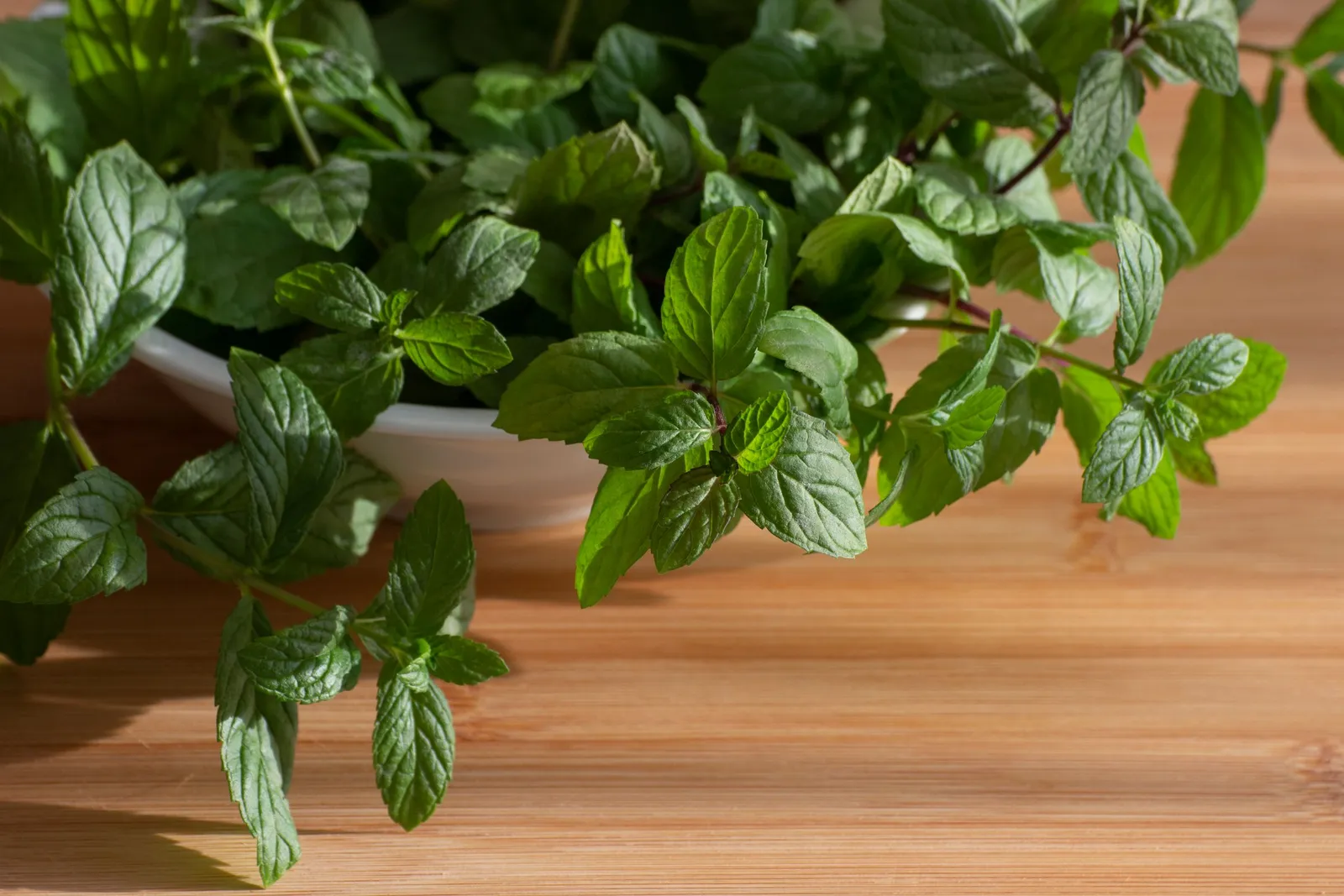A bowl of fresh peppermint sprigs on a wooden table