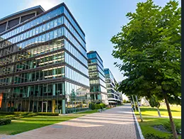 Commercial Pest Control