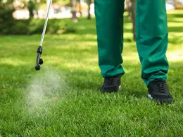 Exterminator Services