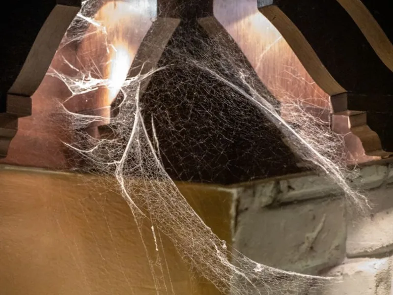 Tangled cobwebs built up in a ceiling corner, the webbing Pure Guard clears on every spider service in Lake Stevens, WA